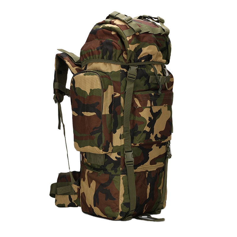 ハイキングバックパック 軽量 アウトドアバックパック 65L - Lightweight Backpack 65L のレビューと価格