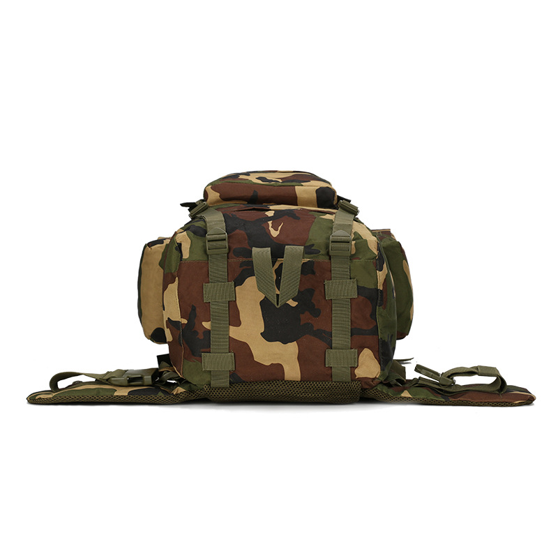 ハイキングバックパック 軽量 アウトドアバックパック 65L - Lightweight Backpack 65L のレビューと価格